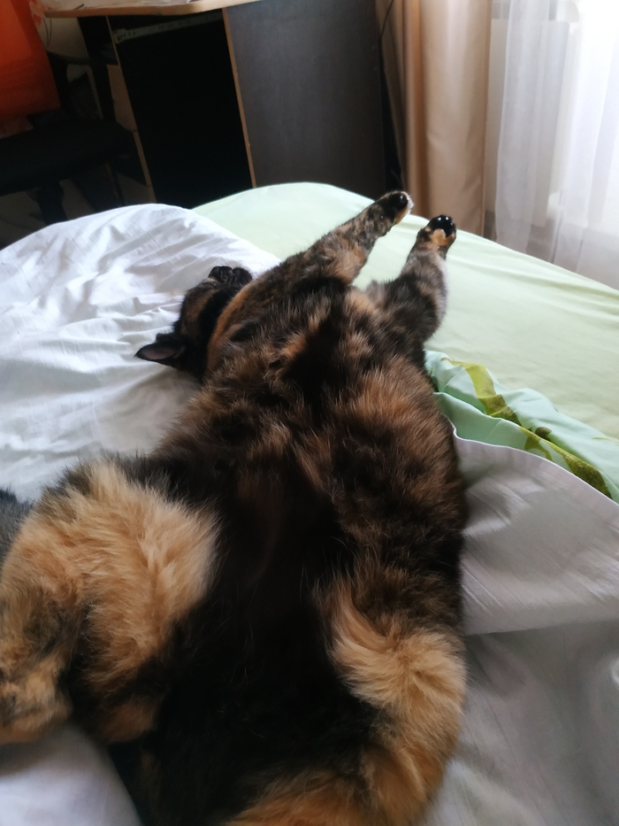 � ���-���� ���� ��� �� �������