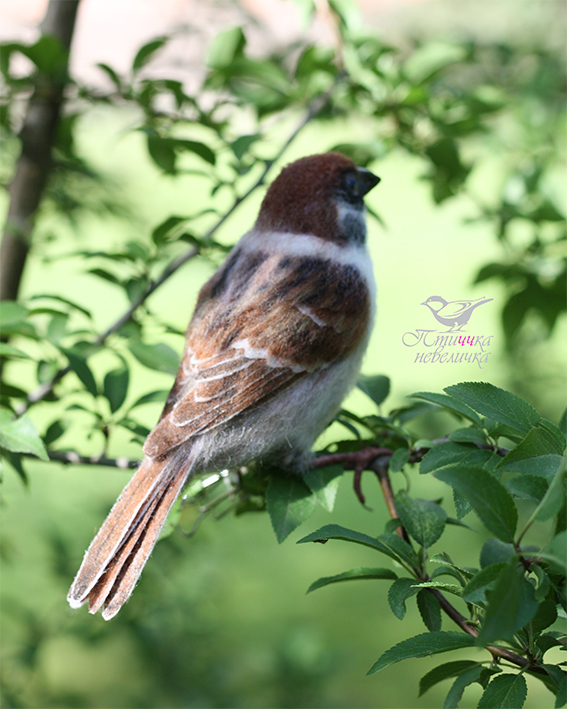 Field sparrow. - My, Dry felting, Needlework without process, Needlework, Art, Handmade, Creation, Longpost