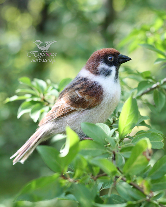 Field sparrow. - My, Dry felting, Needlework without process, Needlework, Art, Handmade, Creation, Longpost