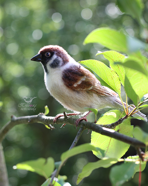 Field sparrow. - My, Dry felting, Needlework without process, Needlework, Art, Handmade, Creation, Longpost