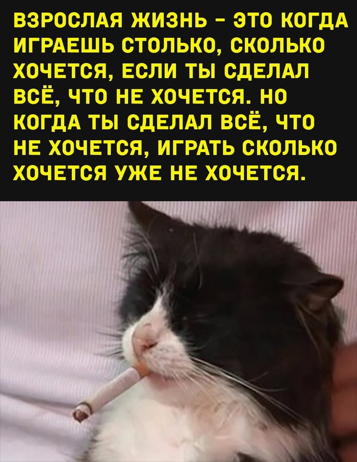 �������� �����