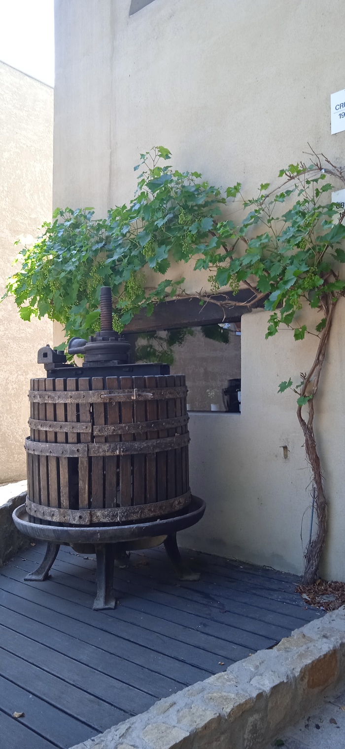 Шенген Путешествия, Мобильная фотография, Работа за границей, Дальнобойщики, Видео, Длиннопост, Шенген