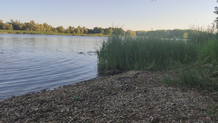 ������ �������� �� ����