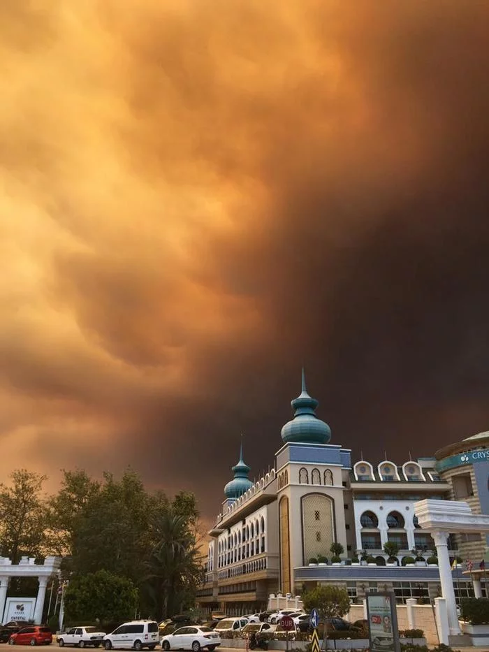 Reply to the post “Hell and Apocalypse in Turkey. Russian tourists:» - My, Turkey, Russian tourists, Forest fires, Video, Reply to post, Longpost