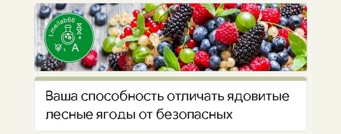 Безопасные дикорастущие ягоды - Моё, Ягоды, Лесные, Полезное, Вкусно, Видео