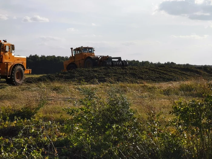 Why are they making heaps of hay in the fields? - Question, Сельское хозяйство