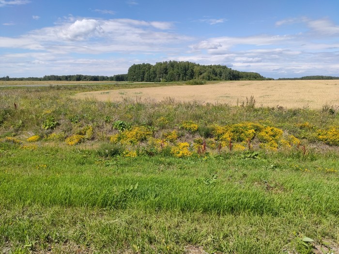 аниме фестиваль мечты персонажи. 1627799930173092001. аниме фестиваль мечты персонажи фото. аниме фестиваль мечты персонажи-1627799930173092001. картинка аниме фестиваль мечты персонажи. картинка 1627799930173092001. Любимые ожившие герои? Комиксы и музон? Куча игр и олдскульные приставки? Вкусняшки и фрики? Легко! Забудем, друзья, про бренные будни взрослых и побежим навстречу мультикам и игрушкам. И для этого даже совсем необязательно ехать на Комик-Кон в СанДиего. аниме фестиваль мечты персонажи. 1627799930173092001. аниме фестиваль мечты персонажи фото. аниме фестиваль мечты персонажи-1627799930173092001. картинка аниме фестиваль мечты персонажи. картинка 1627799930173092001. Любимые ожившие герои? Комиксы и музон? Куча игр и олдскульные приставки? Вкусняшки и фрики? Легко! Забудем, друзья, про бренные будни взрослых и побежим навстречу мультикам и игрушкам. И для этого даже совсем необязательно ехать на Комик-Кон в СанДиего.