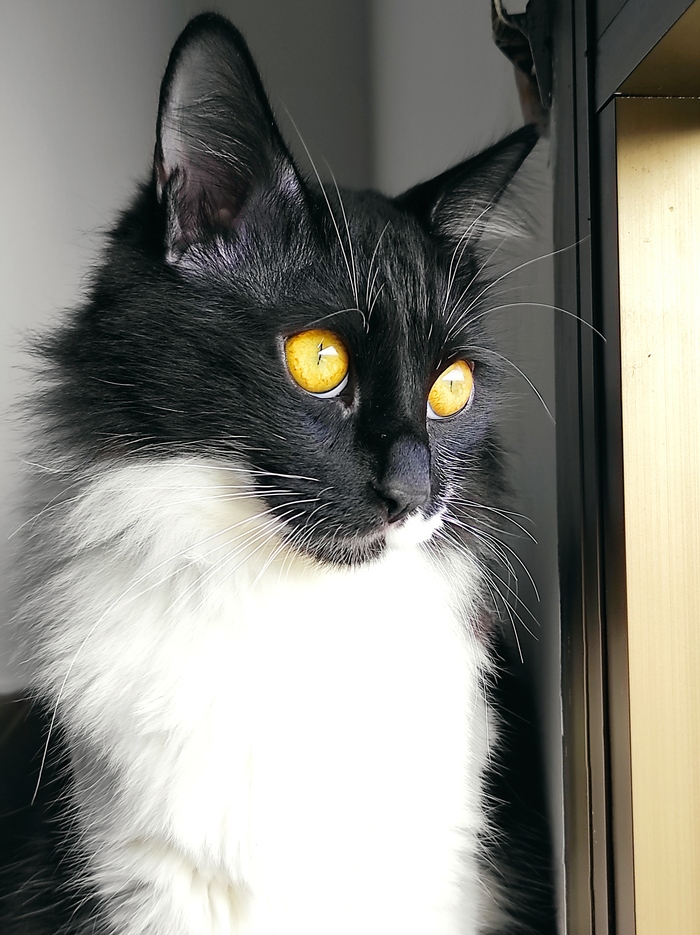 Антистресс