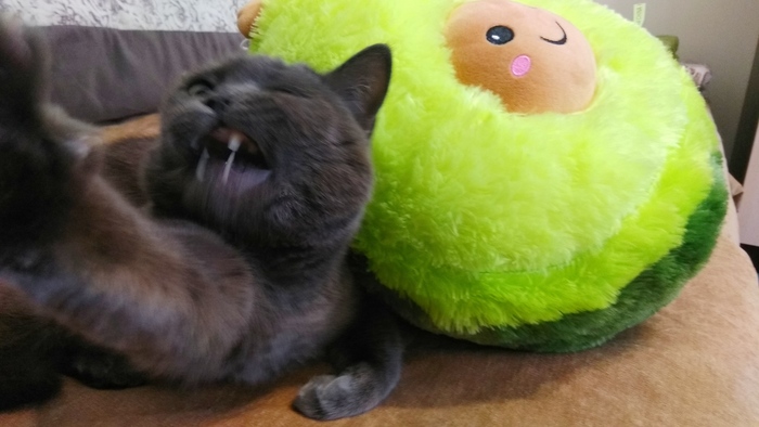 �����