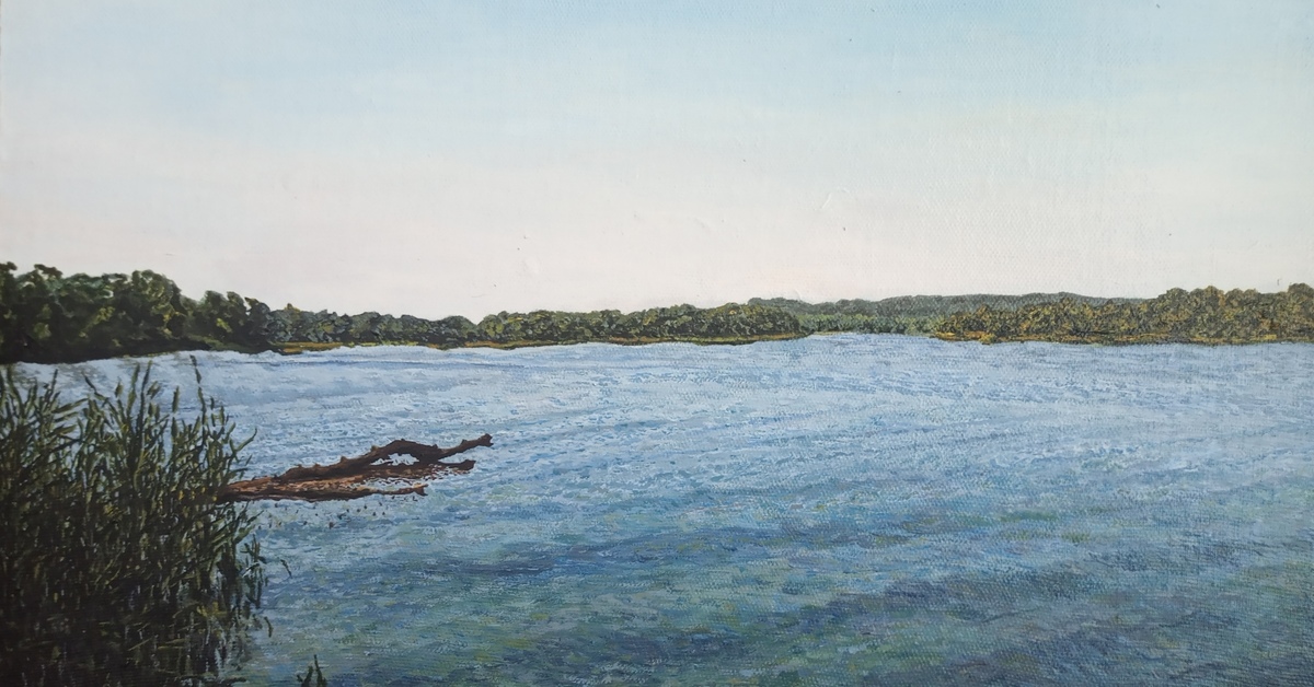 Boast 3, Dnieper River, oil on canvas - My, Canvas, Butter, Painting, Artist, Landscape