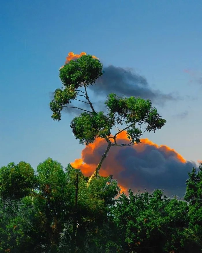 This is not fire - Sky, Nature, Clouds