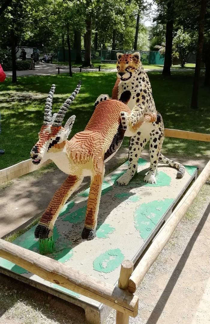 Excuse me, can I ask you? - Cheetah, Gazelle, Lego, Munster