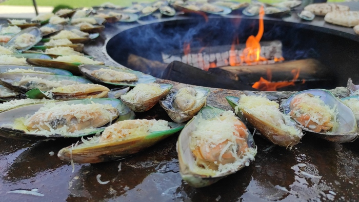 мясо на чугунной решетке на мангале. Смотреть фото мясо на чугунной решетке на мангале. Смотреть картинку мясо на чугунной решетке на мангале. Картинка про мясо на чугунной решетке на мангале. Фото мясо на чугунной решетке на мангале