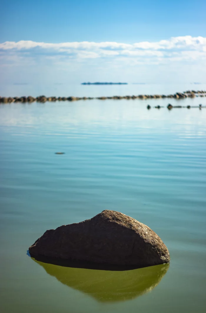 Last year's Zelenogorsk - My, The photo, Hobby, Zelenogorsk, Canon, Helios, Summer, The Gulf of Finland, Longpost