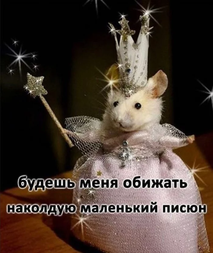 MeM - Images, Mouse, Fairy