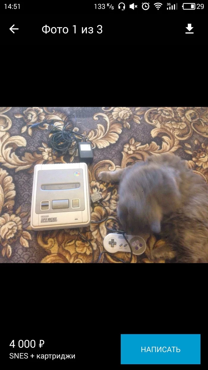 Chronicles of Avito - My, Avito, cat, SNES, Nintendo, Correspondence, Longpost