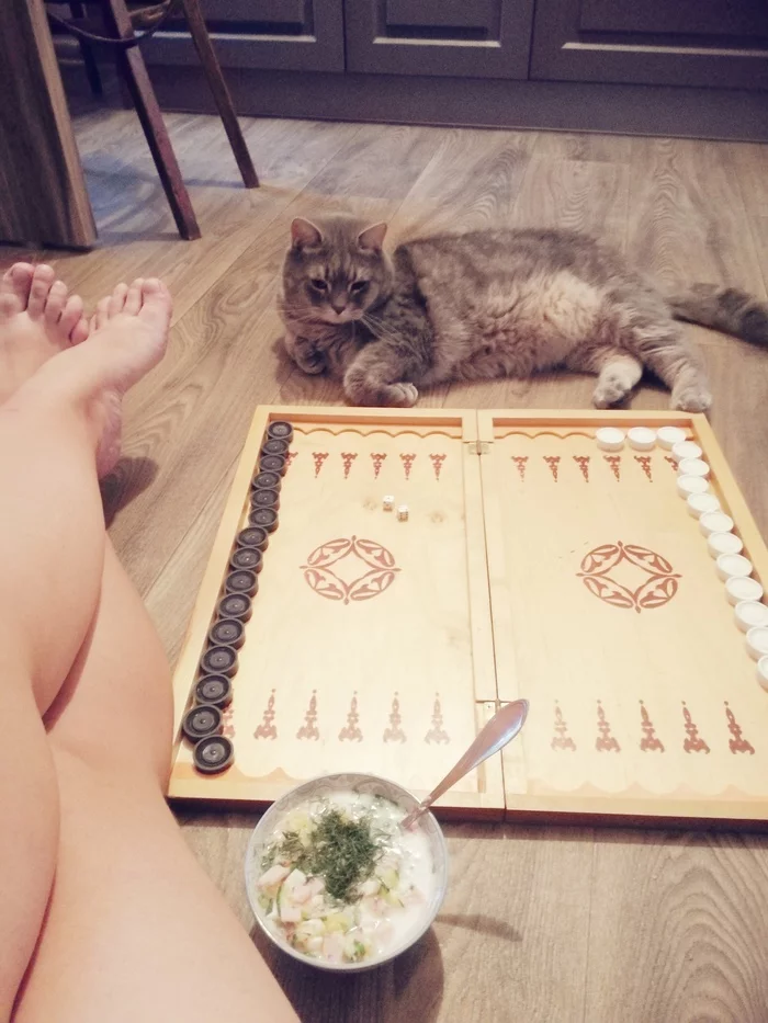 Fur Backgammon Champion - My, cat, Loneliness, Backgammon, Longpost