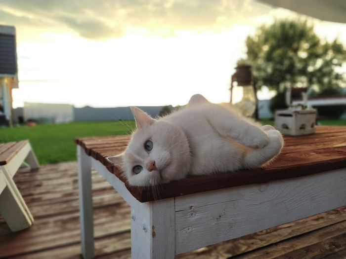   2 , ,  , 