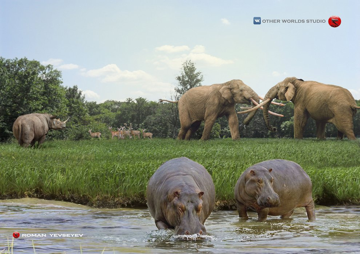 Европа которую мы потеряли