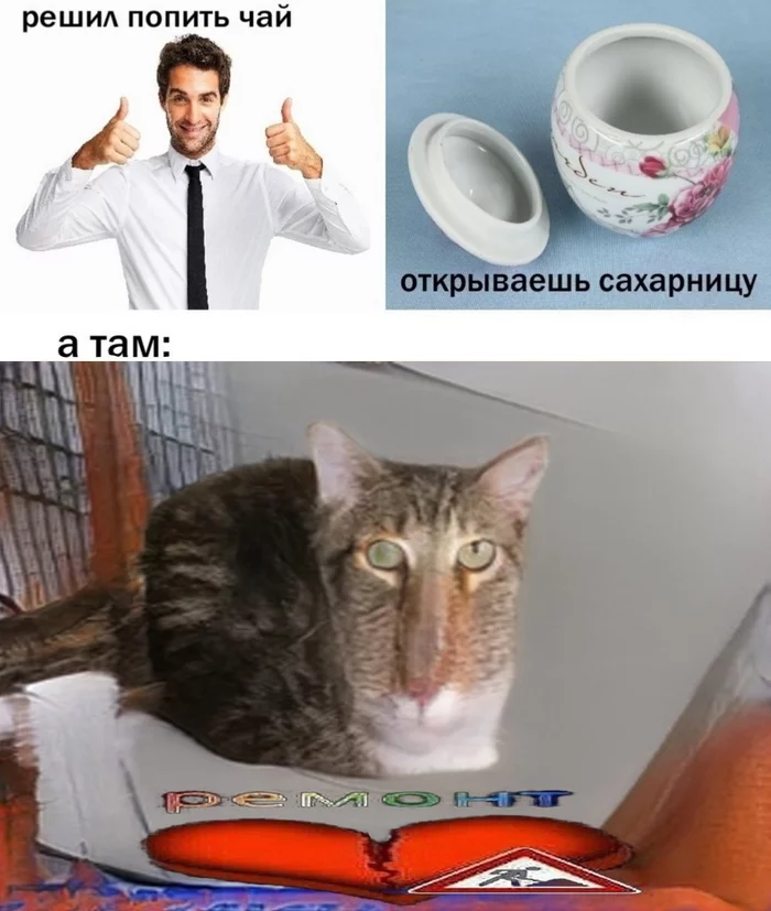 Алиса и безумное чаепитие - Dank Memes, Кот, Безумное чаепитие, Абсурд