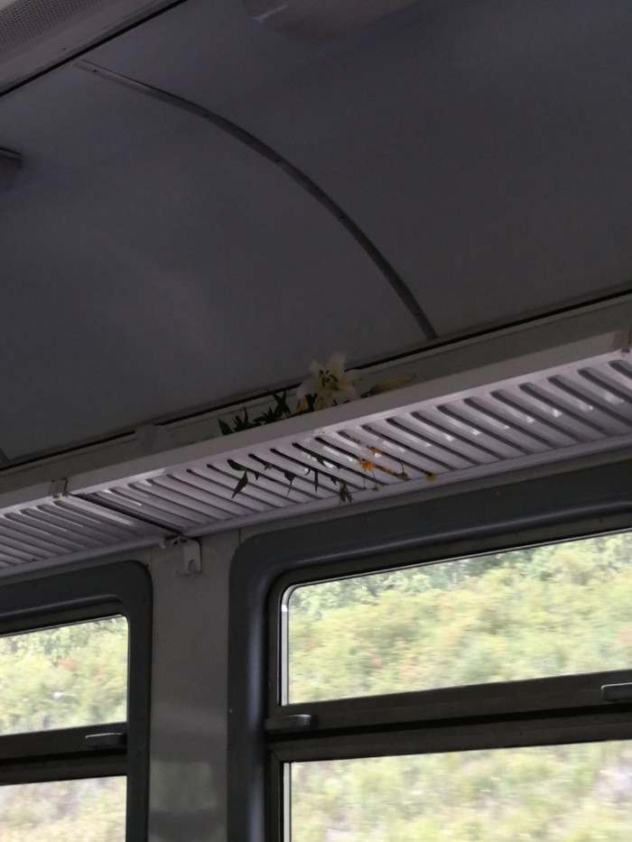 братья цыгановы уралмаш биография. 1627997357163951745. братья цыгановы уралмаш биография фото. братья цыгановы уралмаш биография-1627997357163951745. картинка братья цыгановы уралмаш биография. картинка 1627997357163951745. В конце 80-х годов правоохранительные органы Свердловска (после 1991 г. – Екатеринбург) зафиксировали деятельность неизвестной ранее преступной группы. "Генеалогия" ОПГ стала известна позже: ее костяк составили выходцы из Орджоникидзевского района, где был расположен завод "Уралмаш". Многих из них связывали учеба в школе, соседство или родственные узы, а объединяющей силой "уралмашевских" стали родные братья Григорий и Константин Цыгановы (их ОПГ впоследствии не раз сравнивали с сицилийскими мафиозными "семьями"). Появление новой криминальной структуры, быстро набирающей силу, вызвало резкую реакцию со стороны другой преступной группы. братья цыгановы уралмаш биография. 1627997357163951745. братья цыгановы уралмаш биография фото. братья цыгановы уралмаш биография-1627997357163951745. картинка братья цыгановы уралмаш биография. картинка 1627997357163951745. В конце 80-х годов правоохранительные органы Свердловска (после 1991 г. – Екатеринбург) зафиксировали деятельность неизвестной ранее преступной группы. "Генеалогия" ОПГ стала известна позже: ее костяк составили выходцы из Орджоникидзевского района, где был расположен завод "Уралмаш". Многих из них связывали учеба в школе, соседство или родственные узы, а объединяющей силой "уралмашевских" стали родные братья Григорий и Константин Цыгановы (их ОПГ впоследствии не раз сравнивали с сицилийскими мафиозными "семьями"). Появление новой криминальной структуры, быстро набирающей силу, вызвало резкую реакцию со стороны другой преступной группы.