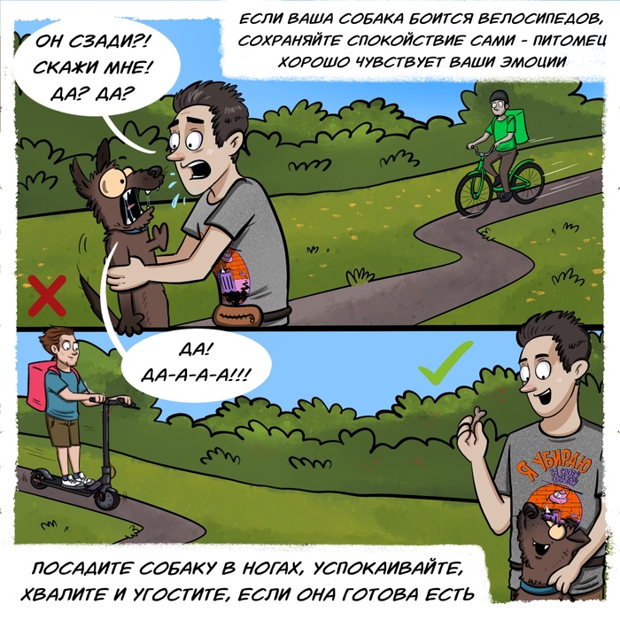 дрессировка собак учебное пособие. дрессировка собак учебное пособие фото. картинка дрессировка собак учебное пособие. смотреть фото дрессировка собак учебное пособие. смотреть картинку дрессировка собак учебное пособие.