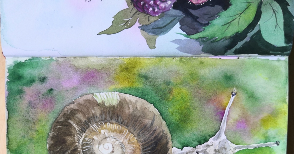 Snails - My, Watercolor, Drawing, Traditional art, Grape snail, Sketchbook, Longpost