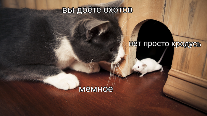 �� ���� ������