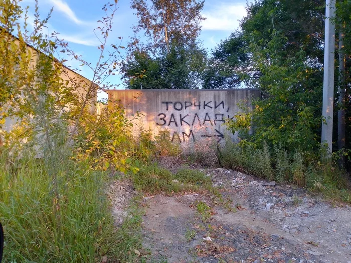 When I'm tired of explaining how to get to the library - My, Bookmarks, The photo, Pointer, Khabarovsk