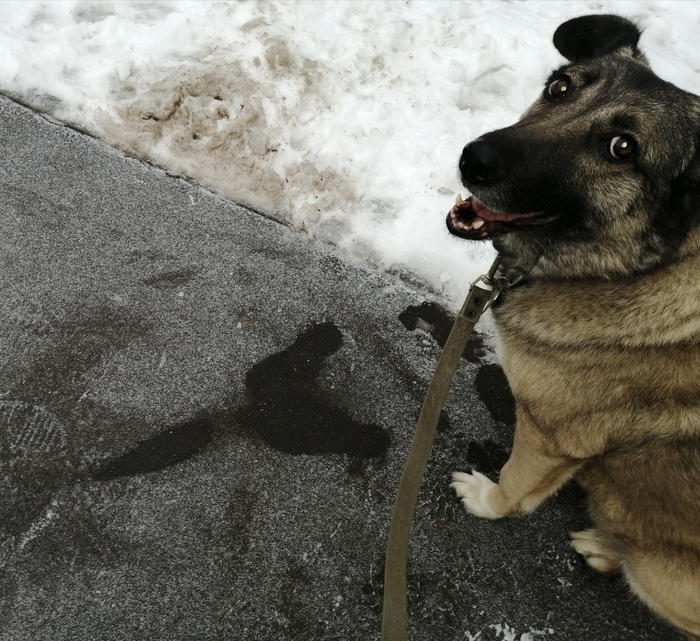 Нагрела местечко)