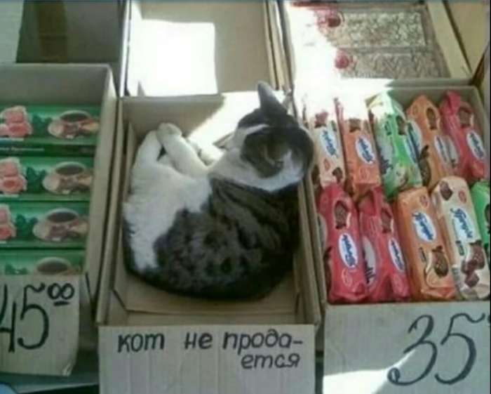   ? ,  ..))