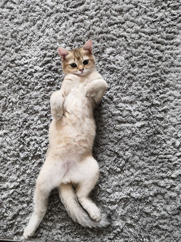 Минута тишины...