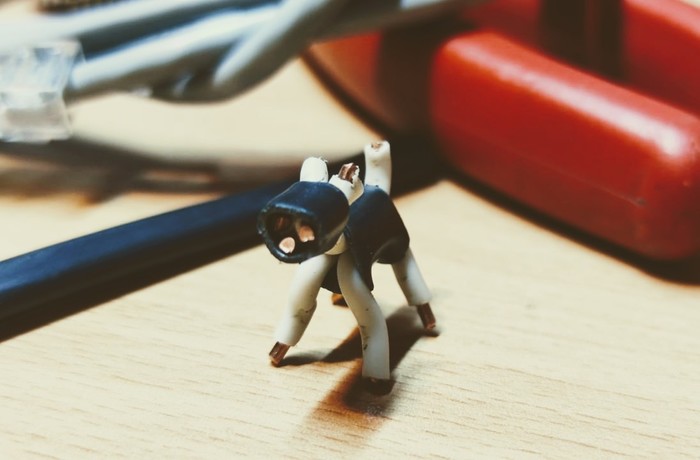 Отдам щенка в добрые руки