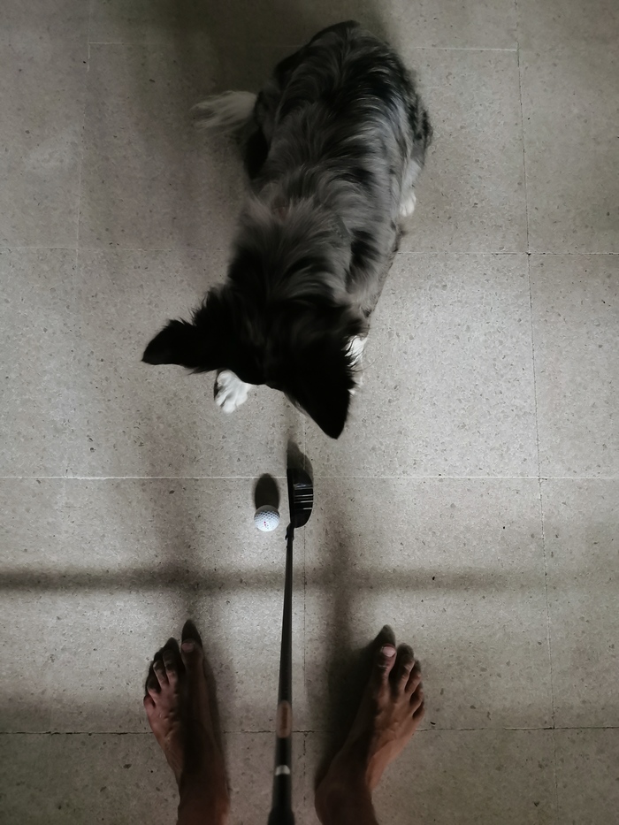  , -, 