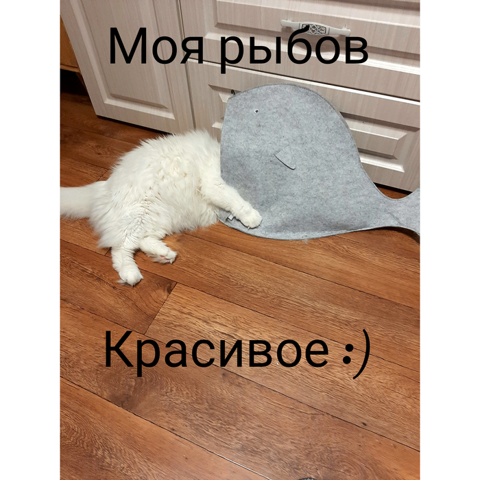        ?, , ,  , ,   