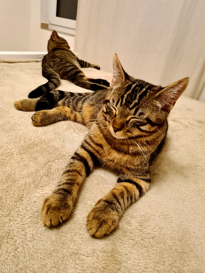 ���������� ������