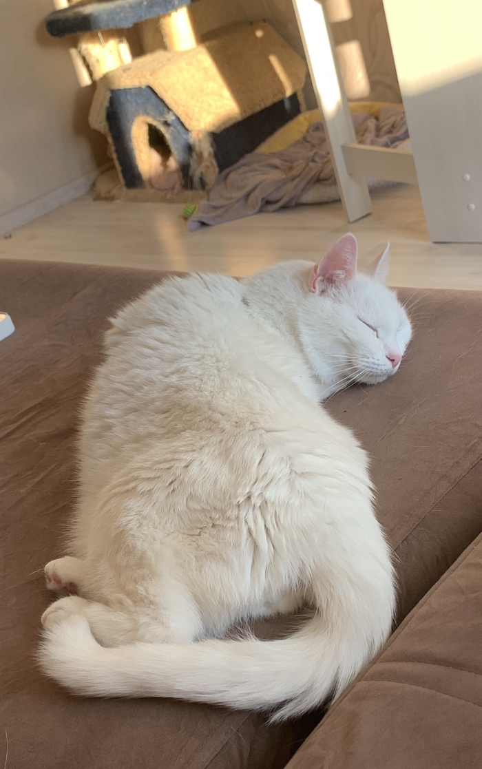 Удобно пипец