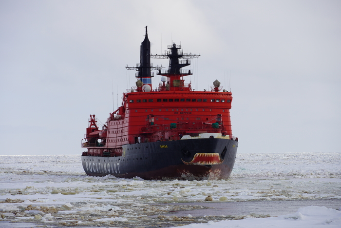 можно ли стать директором без высшего образования. Смотреть фото можно ли стать директором без высшего образования. Смотреть картинку можно ли стать директором без высшего образования. Картинка про можно ли стать директором без высшего образования. Фото можно ли стать директором без высшего образования можно ли стать директором без высшего образования. Смотреть фото можно ли стать директором без высшего образования. Смотреть картинку можно ли стать директором без высшего образования. Картинка про можно ли стать директором без высшего образования. Фото можно ли стать директором без высшего образования