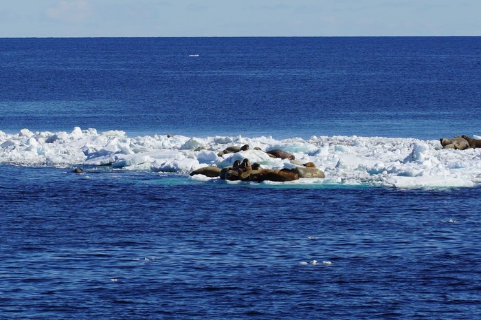 можно ли стать директором без высшего образования. Смотреть фото можно ли стать директором без высшего образования. Смотреть картинку можно ли стать директором без высшего образования. Картинка про можно ли стать директором без высшего образования. Фото можно ли стать директором без высшего образования можно ли стать директором без высшего образования. Смотреть фото можно ли стать директором без высшего образования. Смотреть картинку можно ли стать директором без высшего образования. Картинка про можно ли стать директором без высшего образования. Фото можно ли стать директором без высшего образования