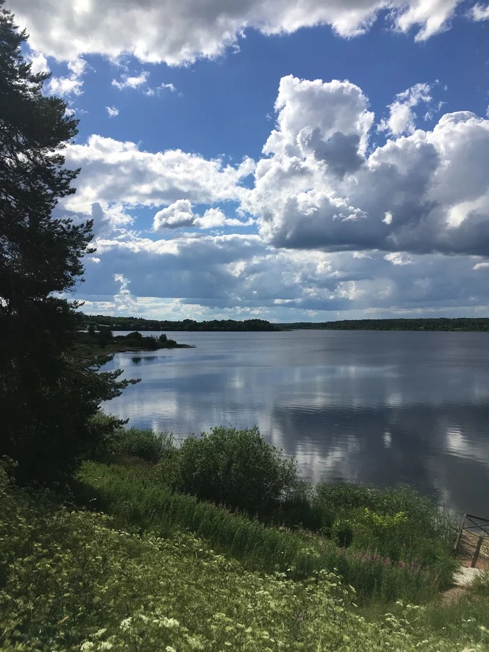 Nature - Yuksovichi, Gomorovichi - My, Lake Onega, Veps forest, Landscape, Longpost, The photo