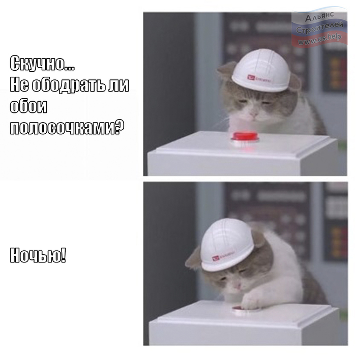,  , , , , 