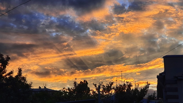 ����� �������