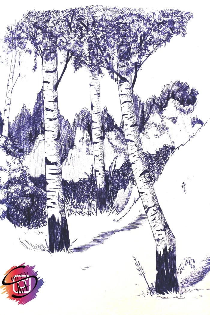 Birch Grove - My, Birch, Sketch, Tree, Vladimir Suteev, Illustrations, Drawing, Sketchbook, Pen drawing, , Graphics
