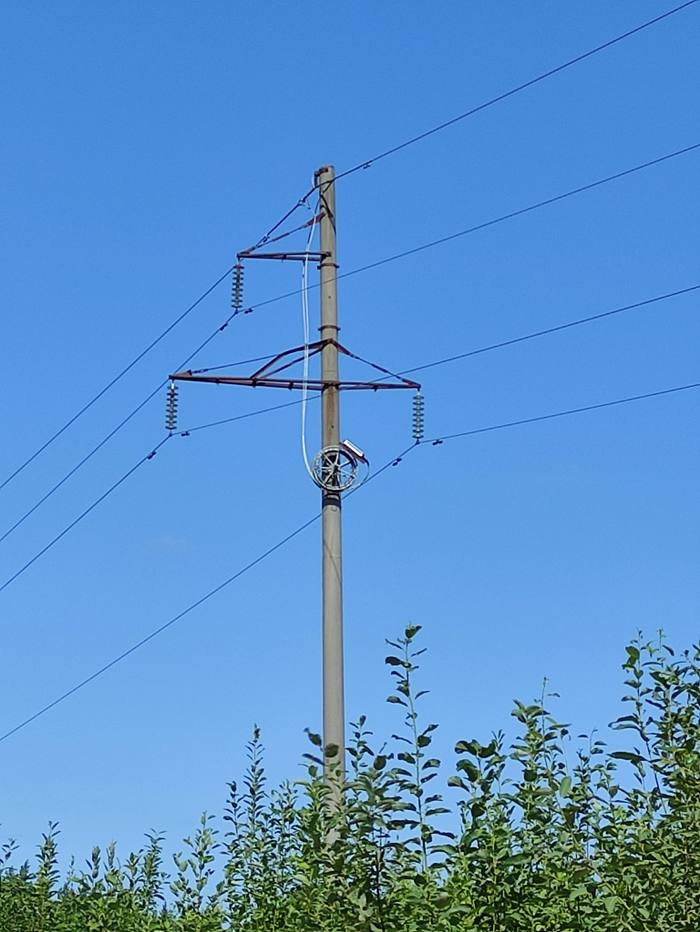 What is the element on the power line - My, Power lines, Question, What's this?