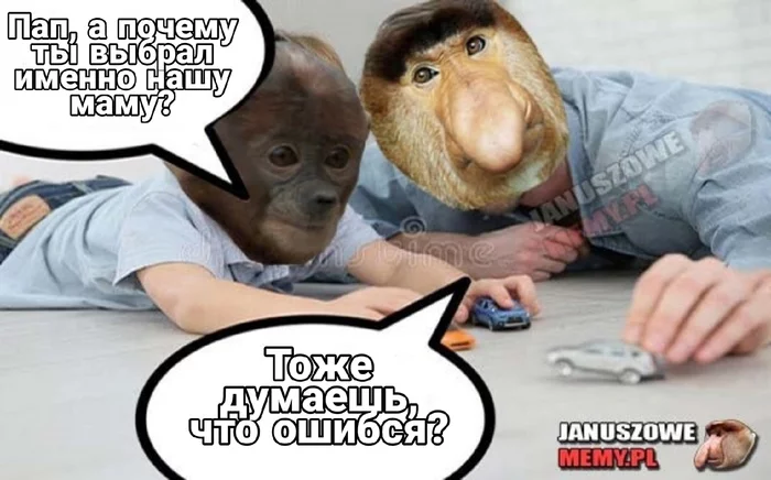 Польские мемы - Мемы, Dank Memes, Юмор, Jokes best