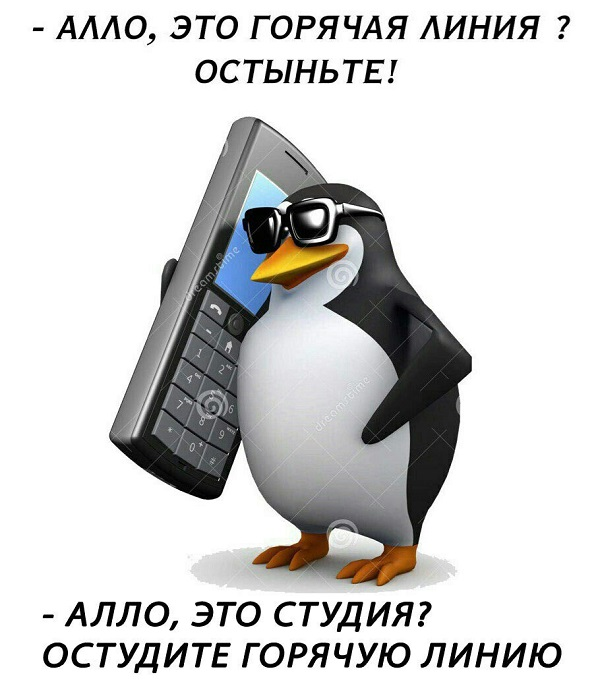       Dank Memes, , 