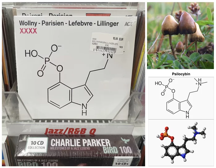 Rims or wheels? - Biochemistry, CD, Music, Jazz, Psychostimulants, Mushrooms, Hallucinogens, My