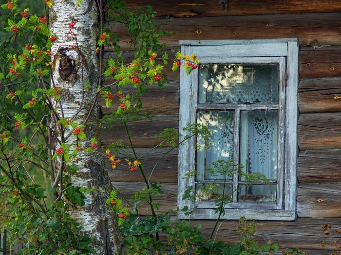 Уходящая культура северного дома - Моё, Деревянное зодчество, Архитектура, Архангельская область, Культура, Длиннопост