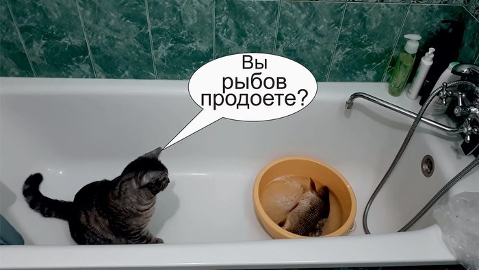 ?