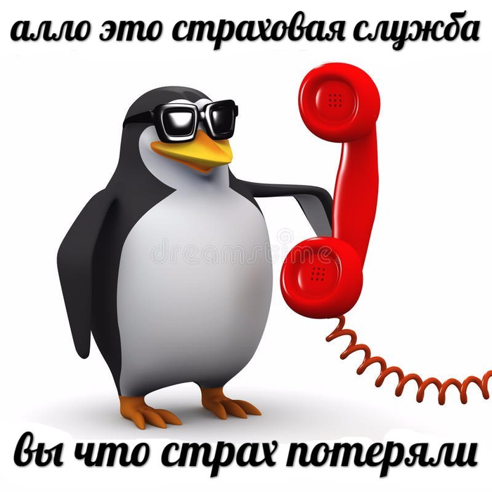     Dank Memes, , 